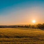 The Rape of Rural Virginia Farmland For Data Centers